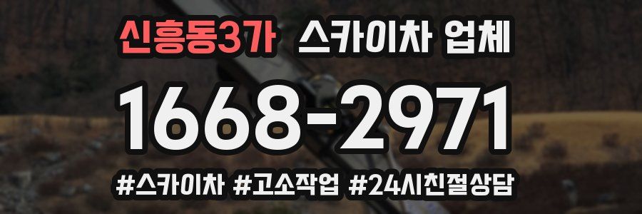 신흥동3가 스카이차 업체