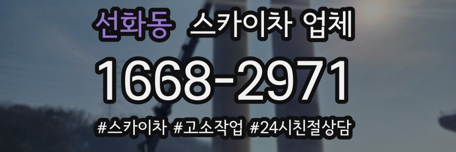 선화동 스카이차 업체