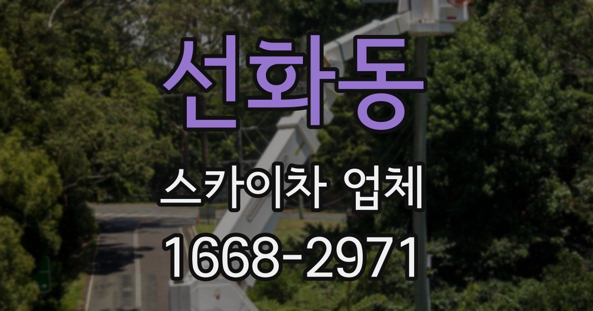 선화동 스카이차 업체