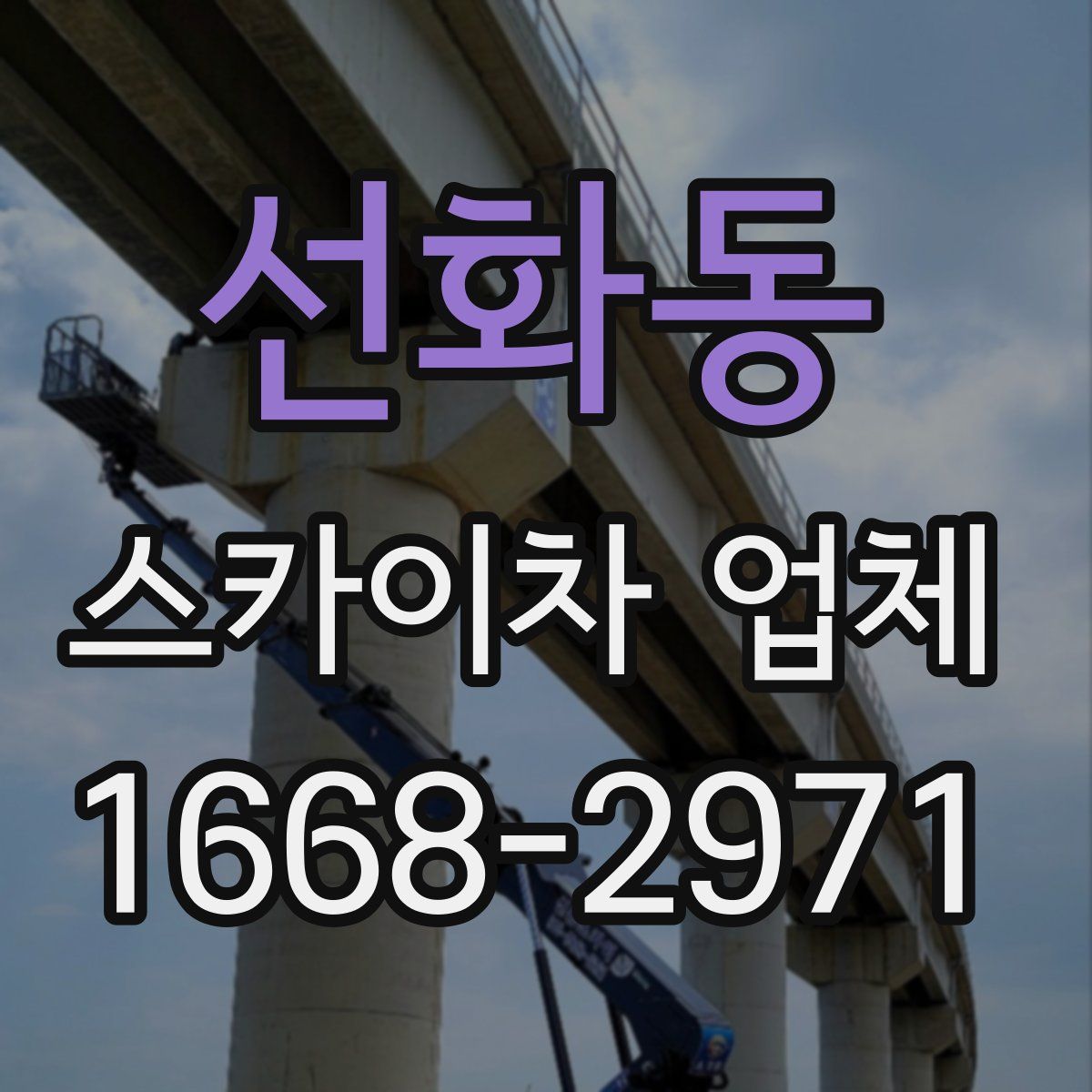 선화동 스카이차 업체