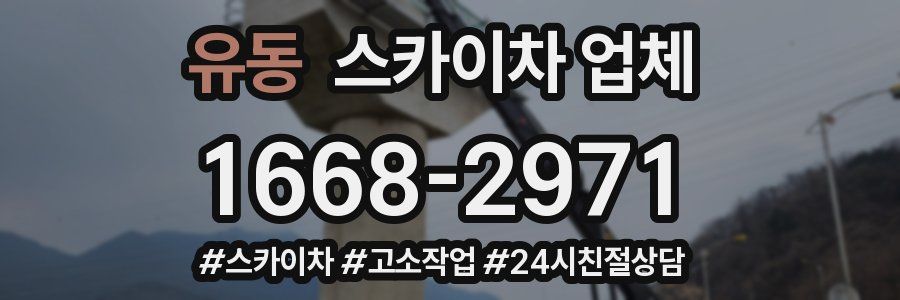 유동 스카이차 업체