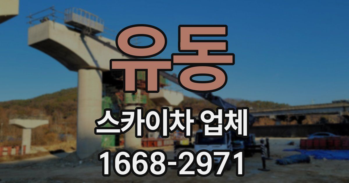 유동 스카이차 업체