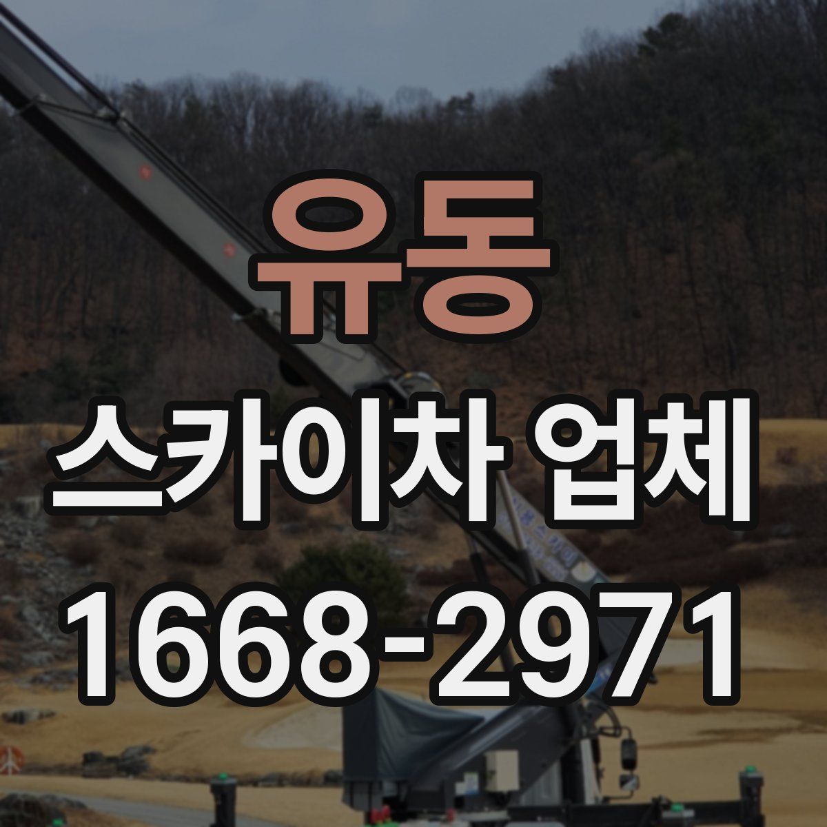 유동 스카이차 업체