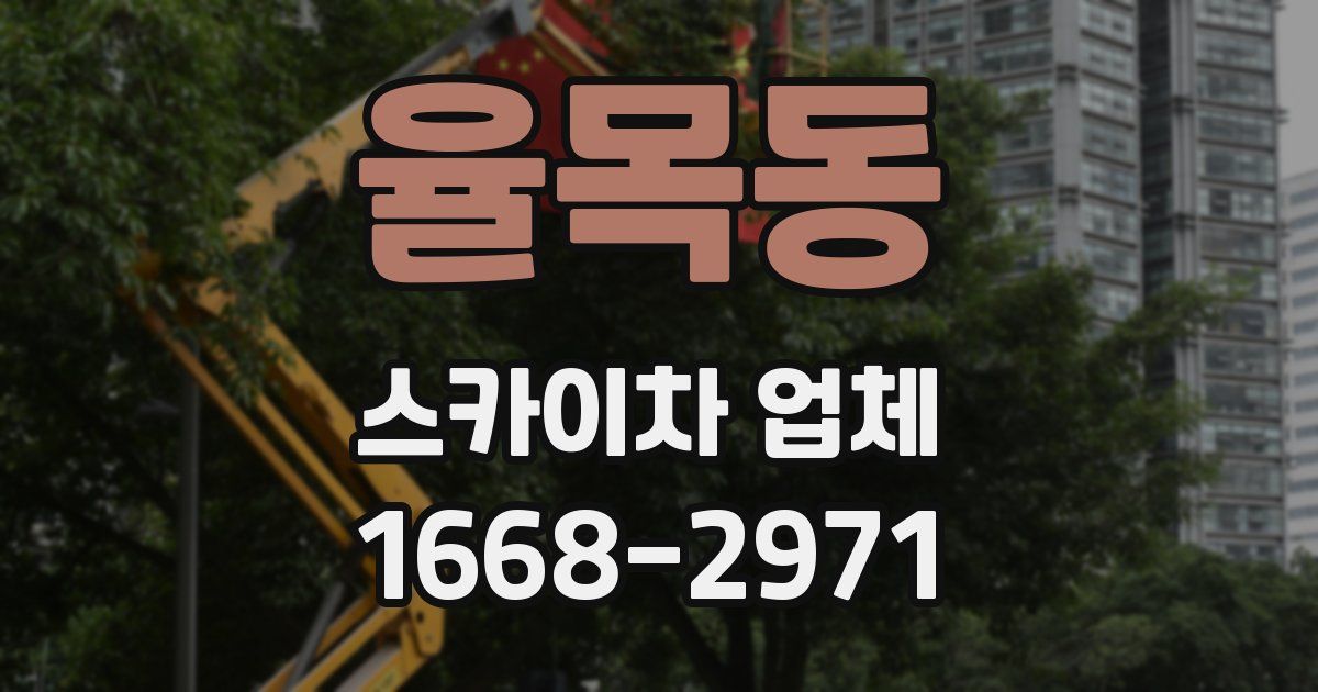 율목동 스카이차 업체