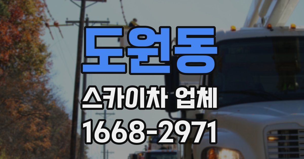 도원동 스카이차 업체