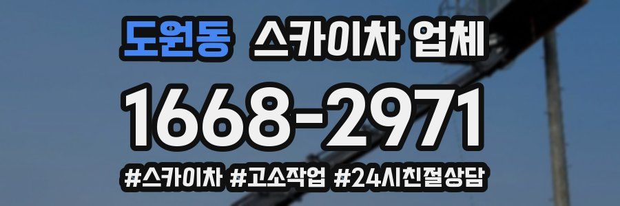 도원동 스카이차 업체