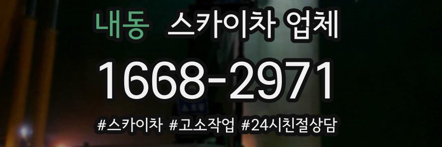 내동 스카이차 업체