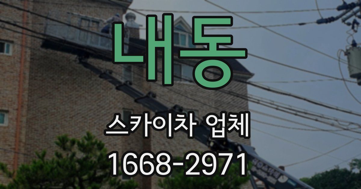 내동 스카이차 업체
