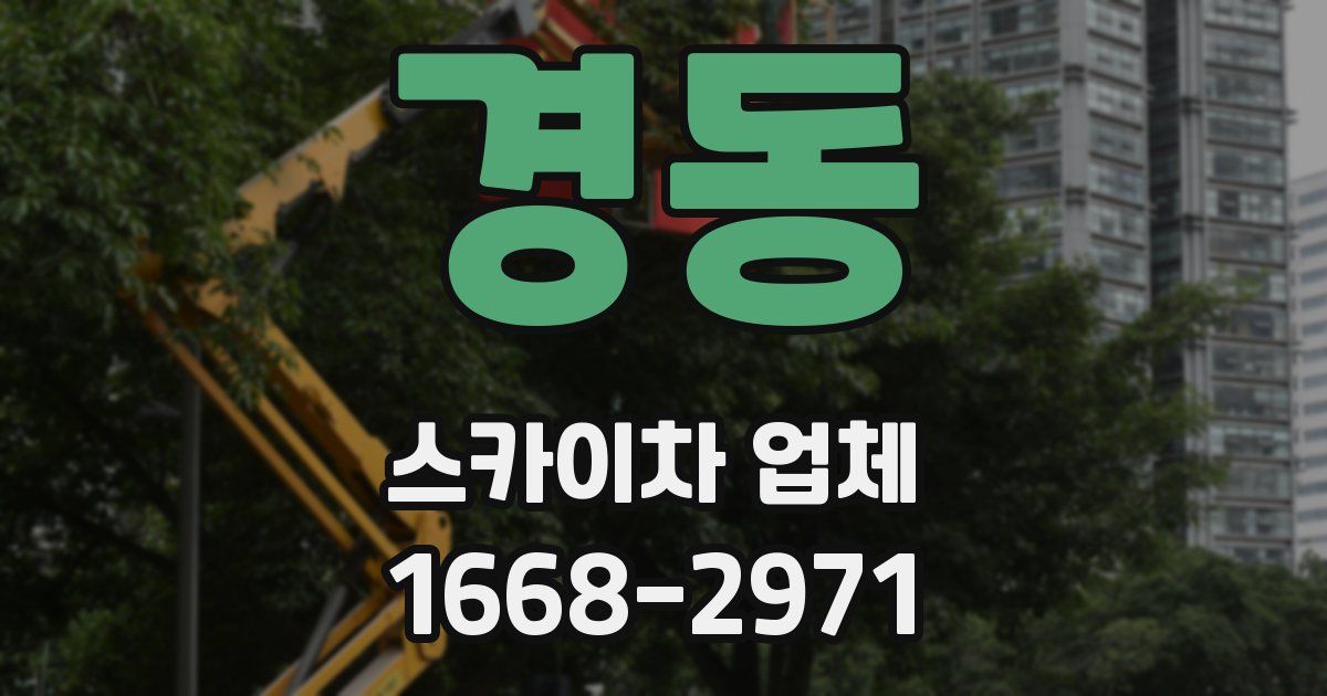 경동 스카이차 업체