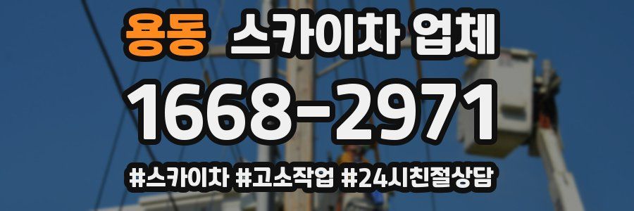 용동 스카이차 업체