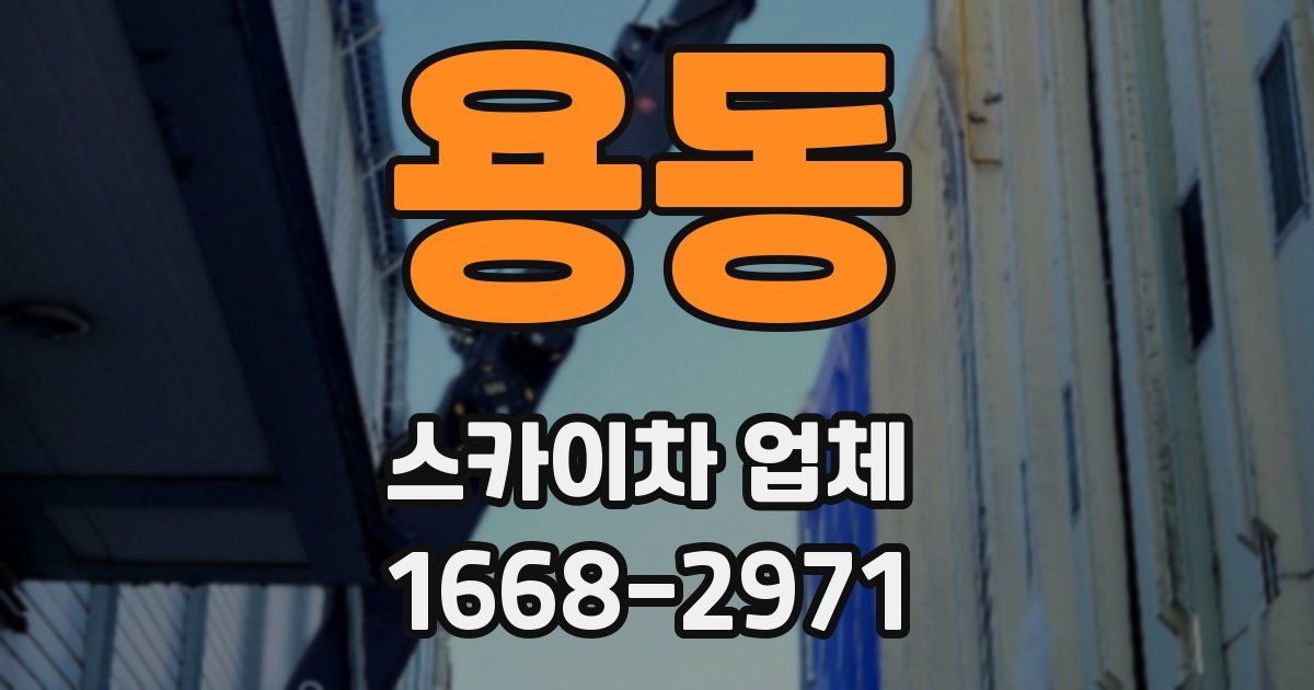 용동 스카이차 업체