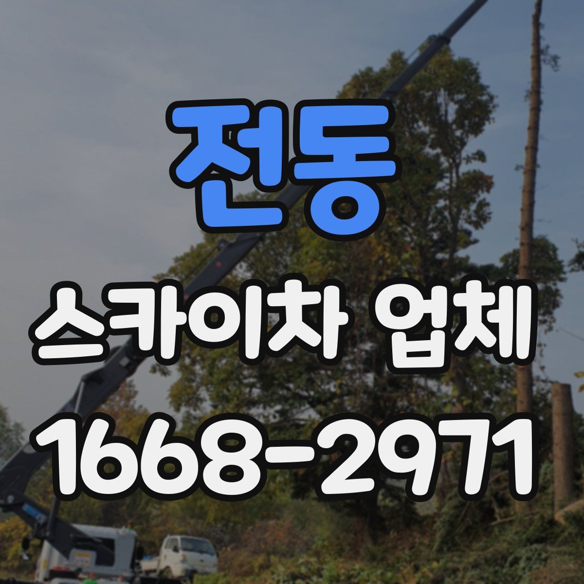 전동 스카이차 업체