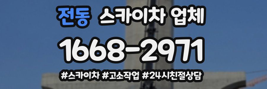 전동 스카이차 업체
