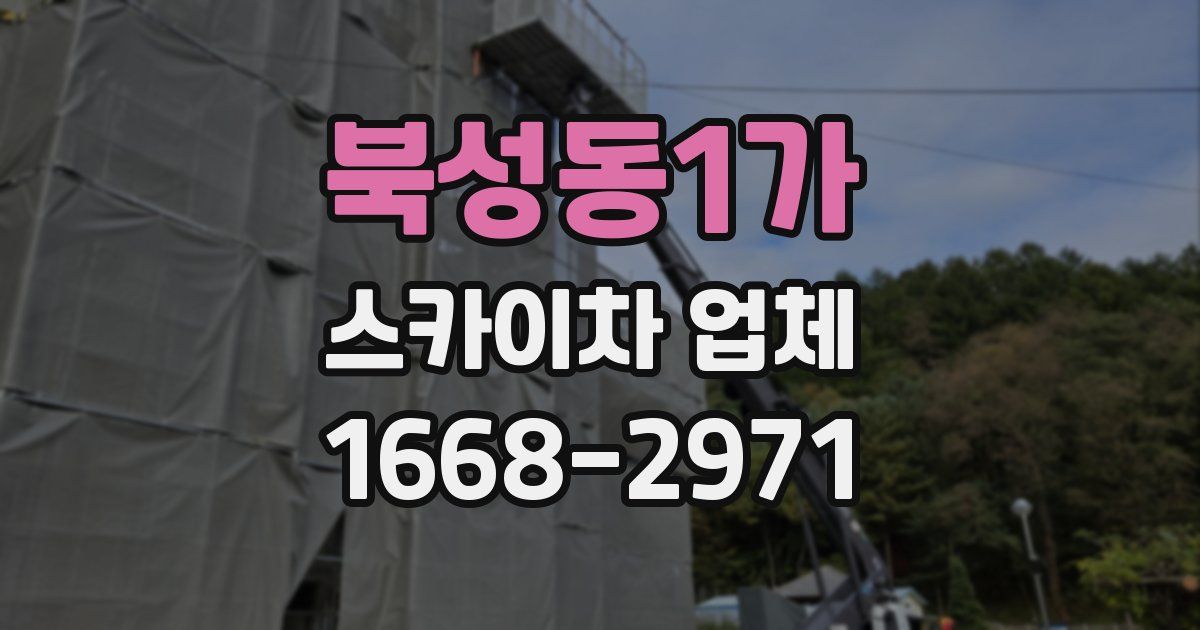 북성동1가 스카이차 업체
