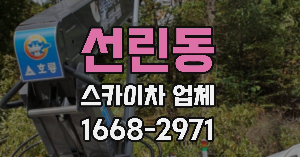 선린동 스카이차 업체