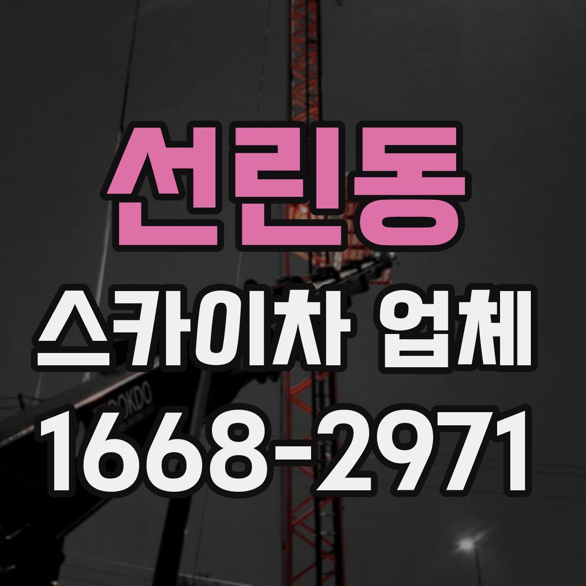 선린동 스카이차 업체