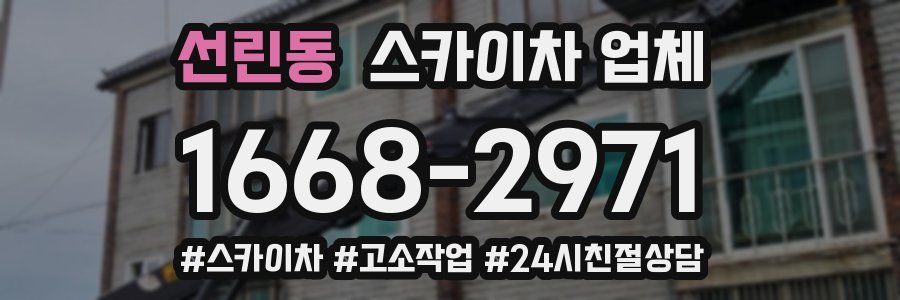 선린동 스카이차 업체