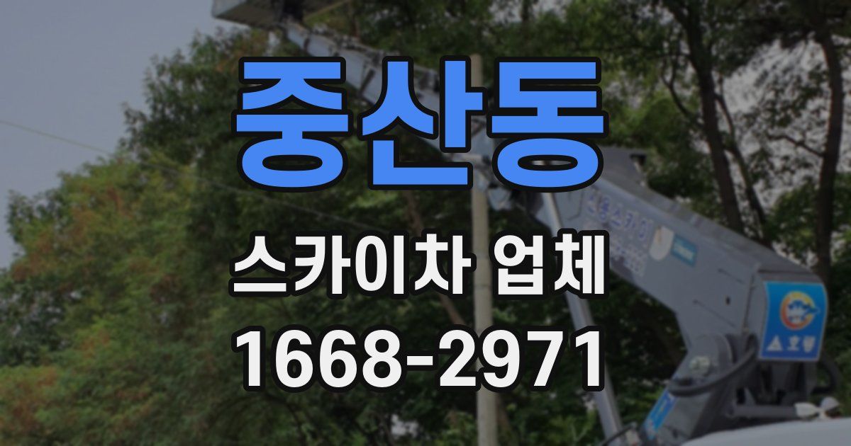 중산동 스카이차 업체