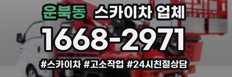 운북동 스카이차 업체