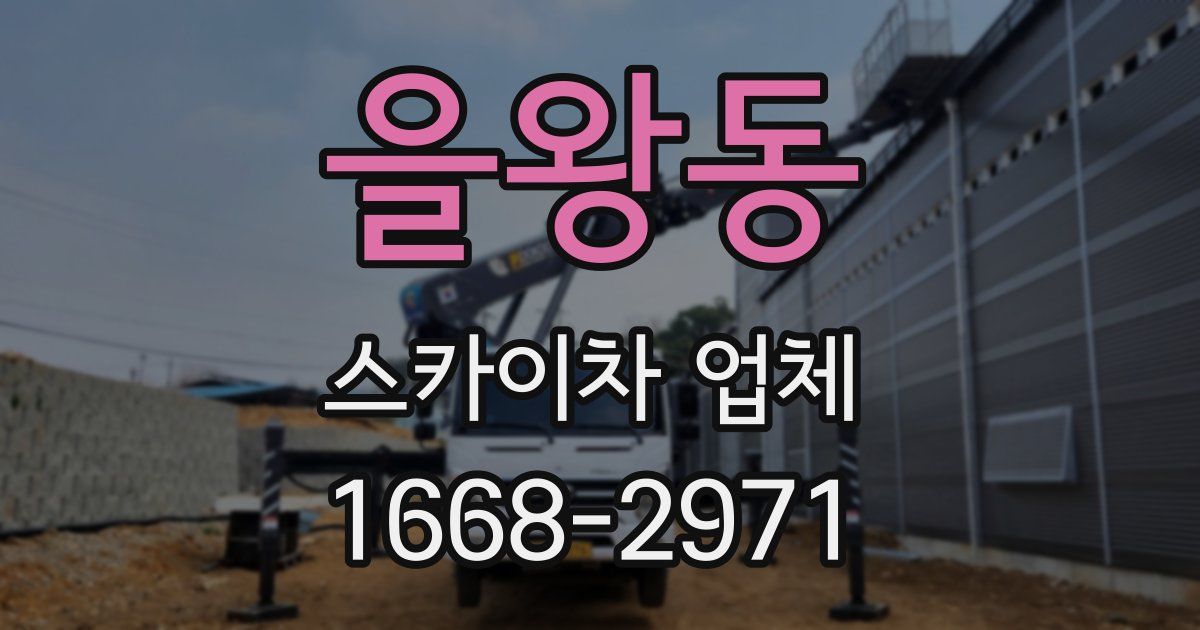 을왕동 스카이차 업체