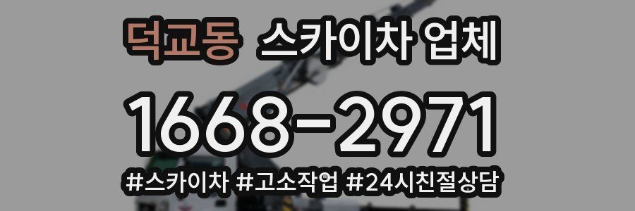 덕교동 스카이차 업체