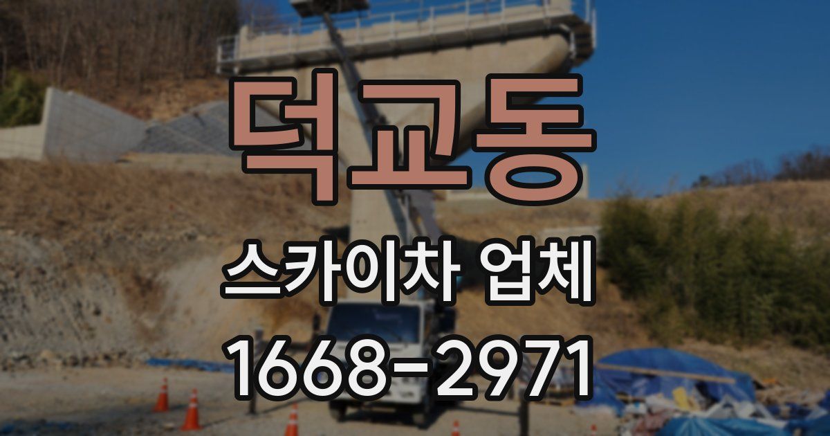 덕교동 스카이차 업체