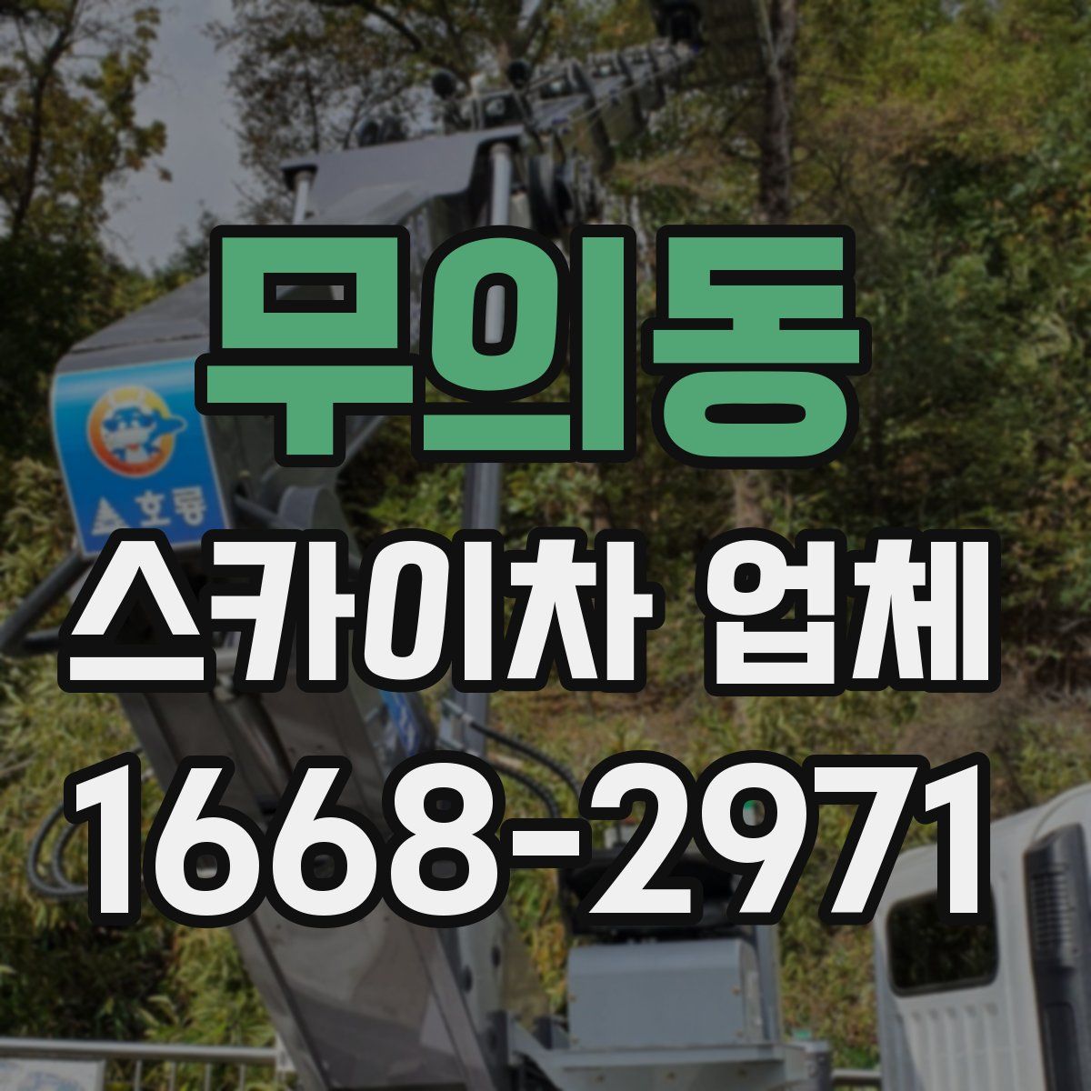 무의동 스카이차 업체