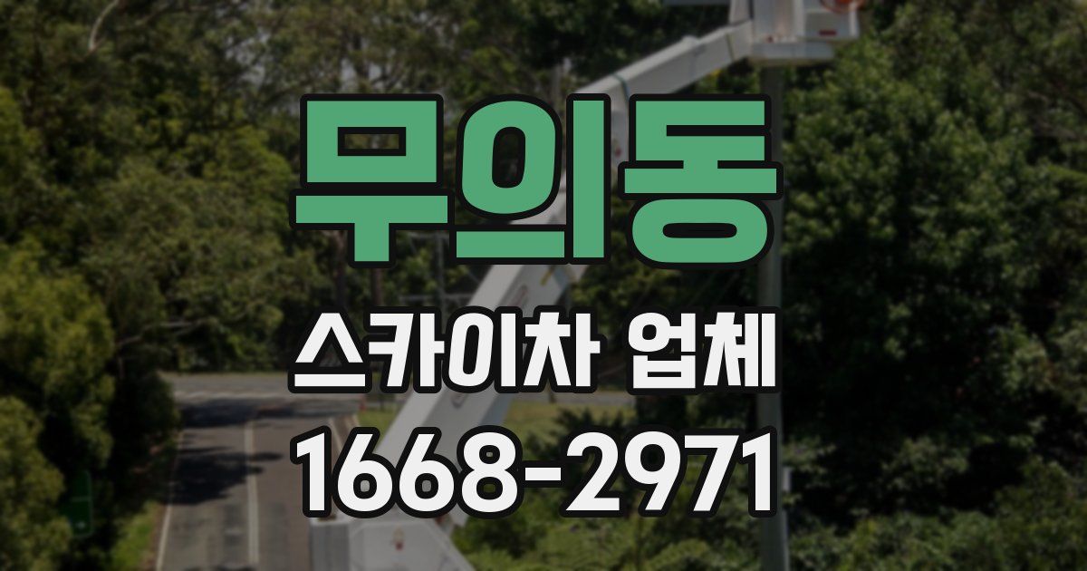 무의동 스카이차 업체