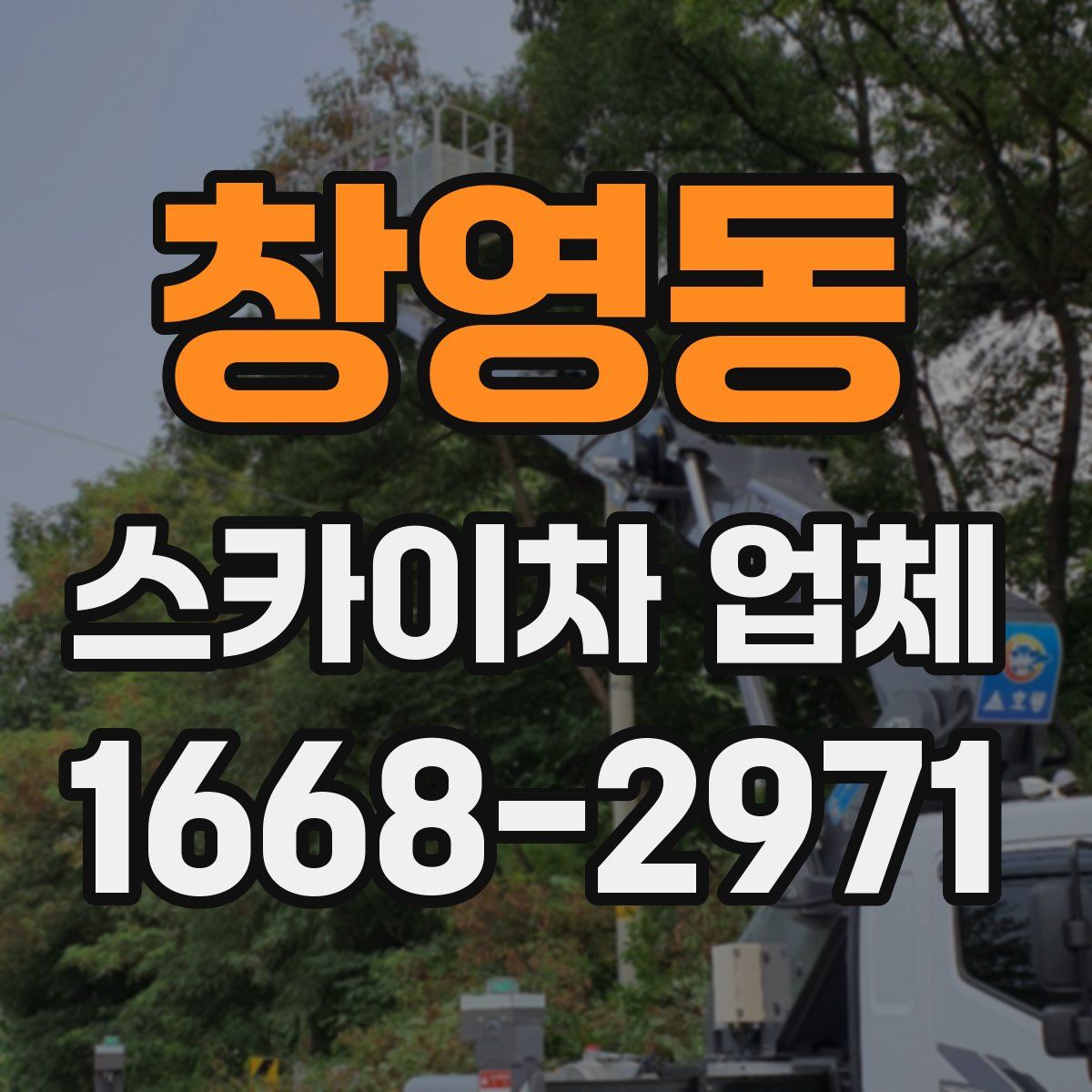 창영동 스카이차 업체