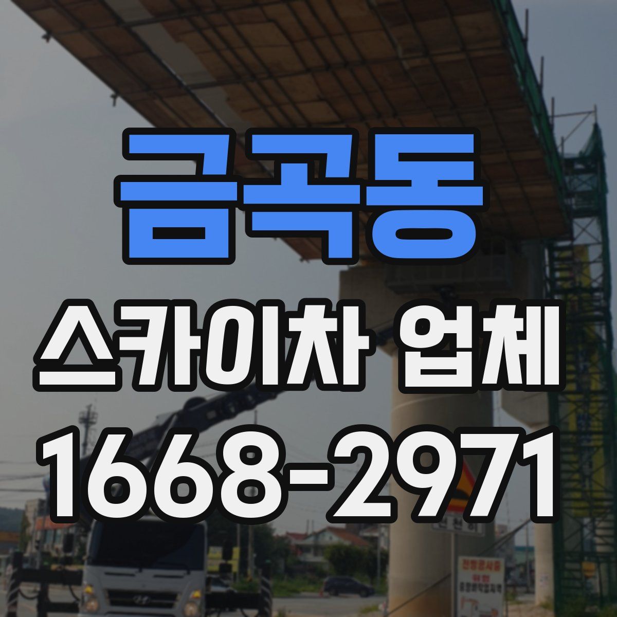 금곡동 스카이차 업체
