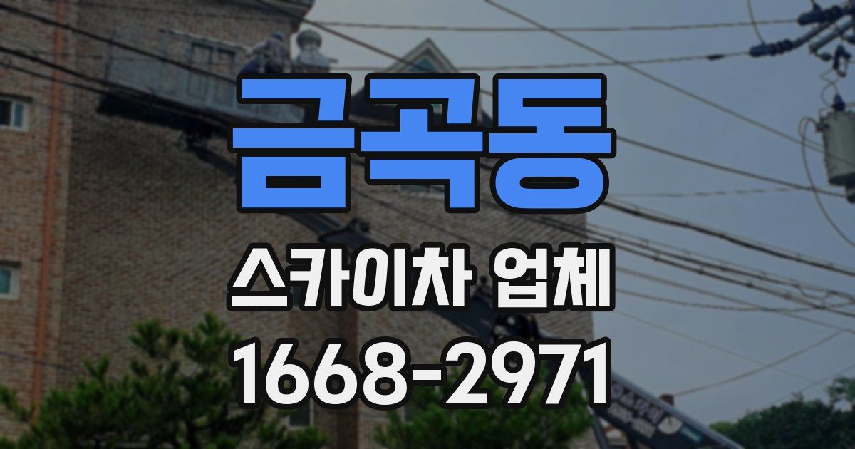 금곡동 스카이차 업체