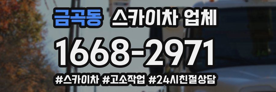 금곡동 스카이차 업체
