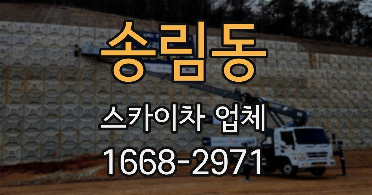 송림동 스카이차 업체