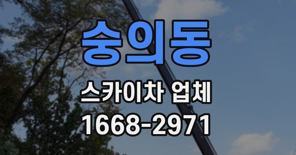숭의동 스카이차 업체