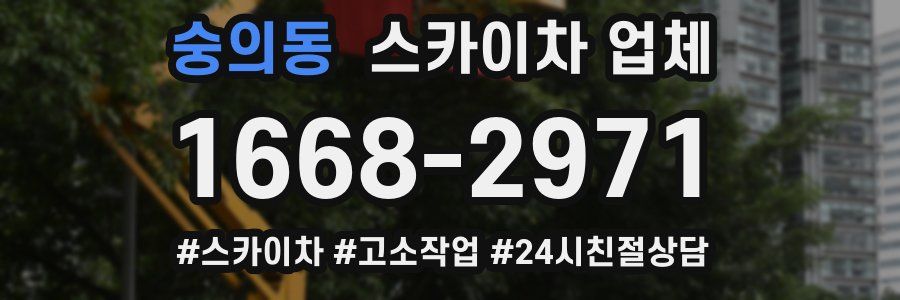 숭의동 스카이차 업체