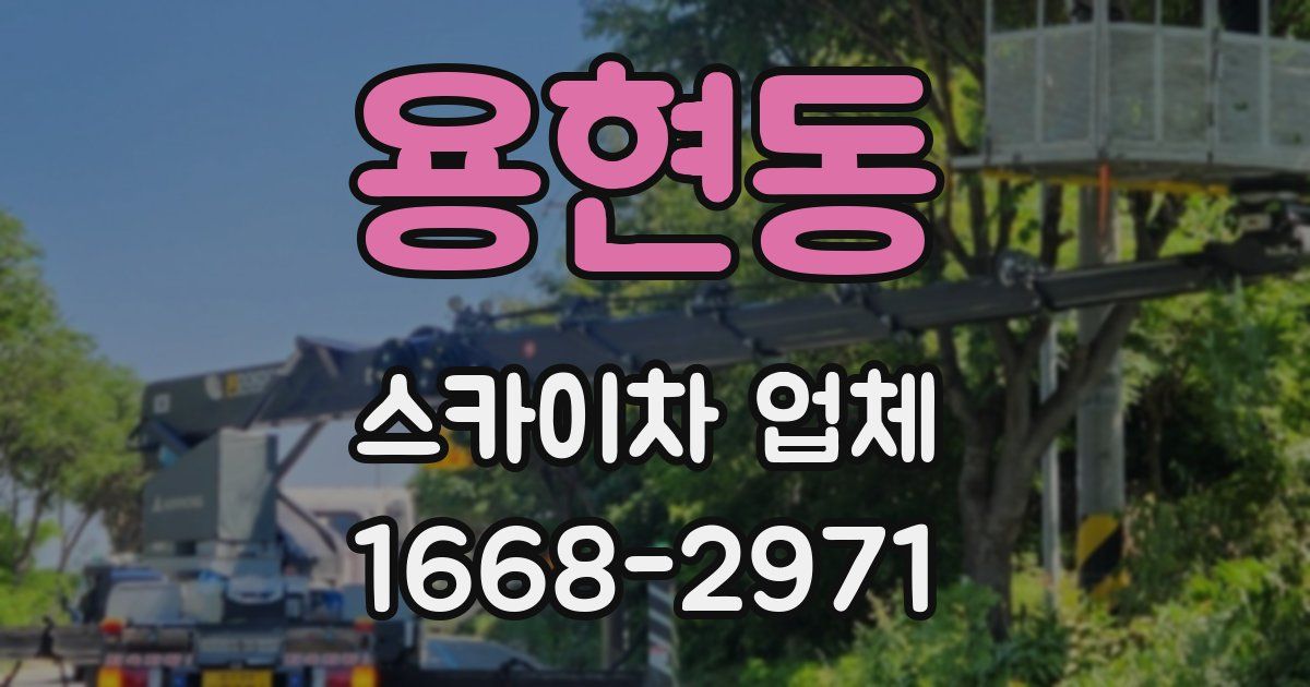 용현동 스카이차 업체