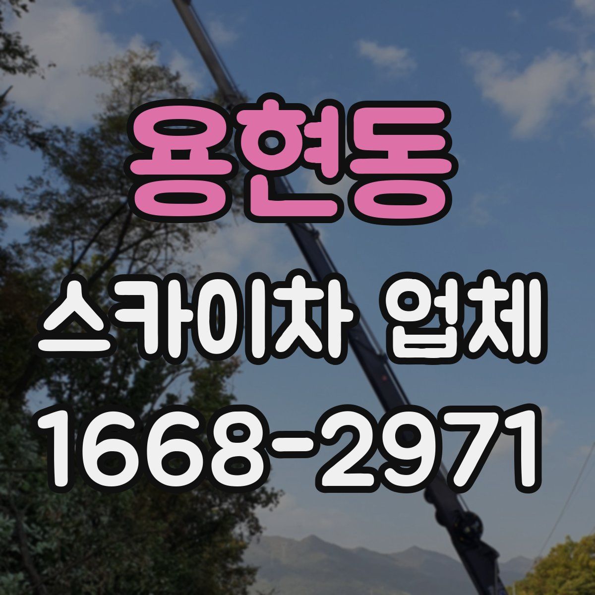 용현동 스카이차 업체