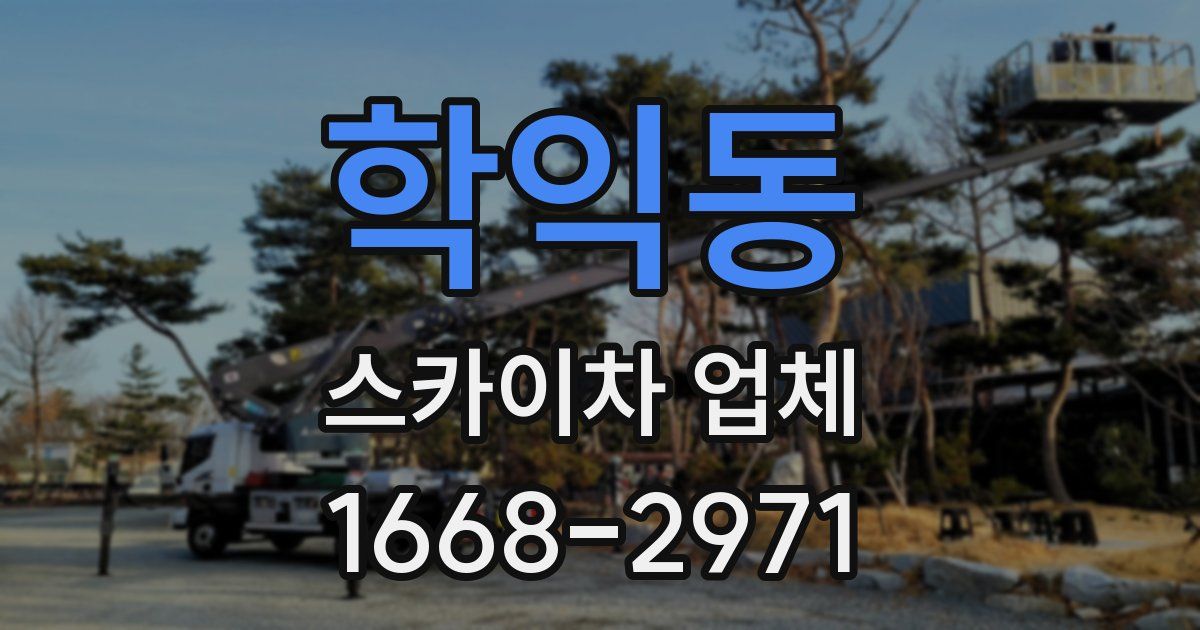 학익동 스카이차 업체