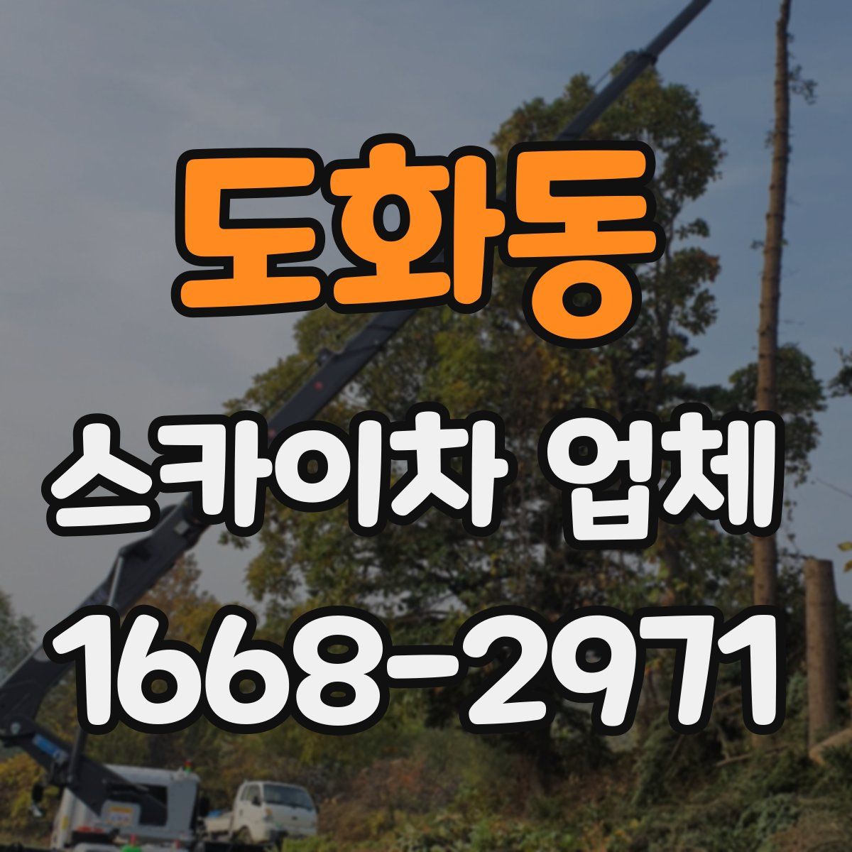 도화동 스카이차 업체