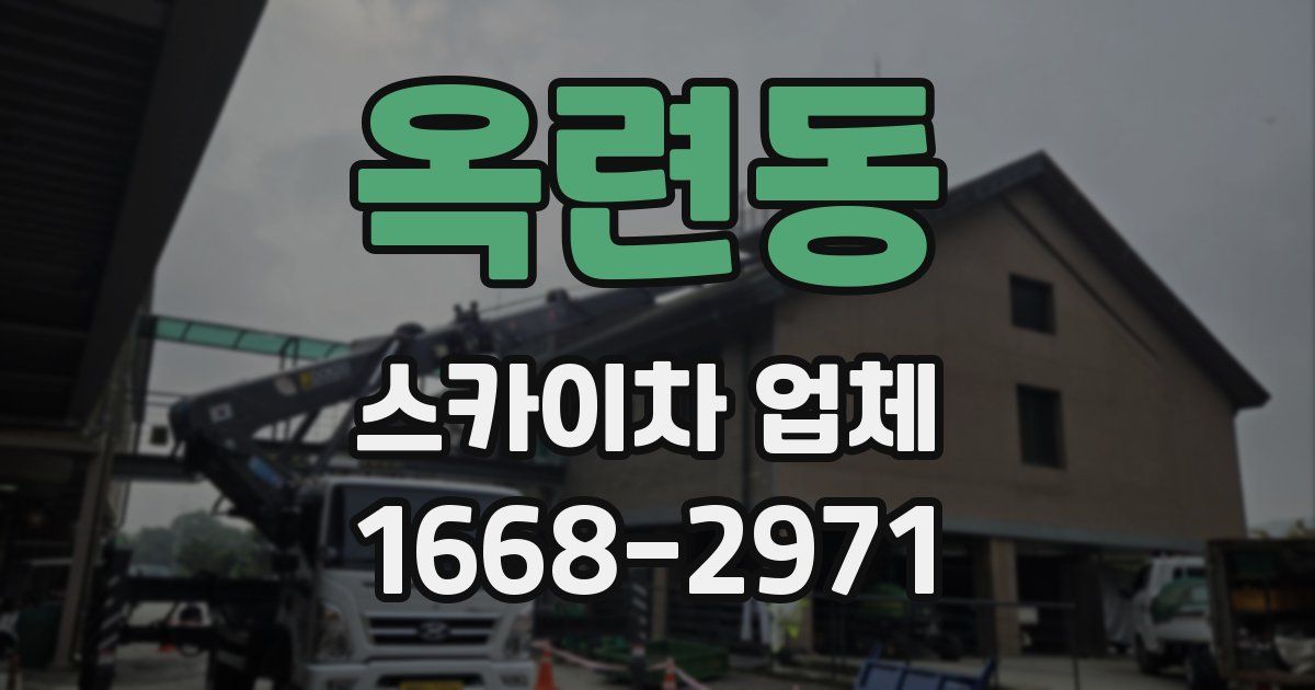 옥련동 스카이차 업체