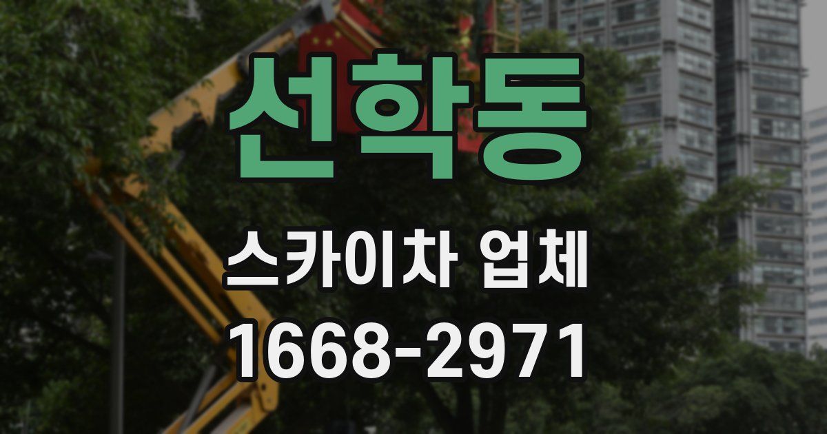 선학동 스카이차 업체