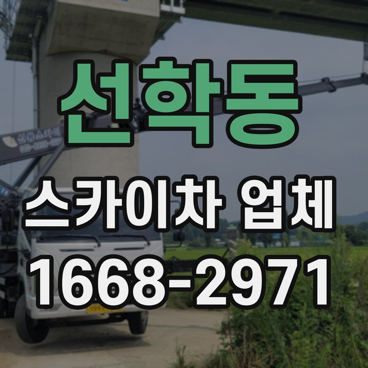 선학동 스카이차 업체