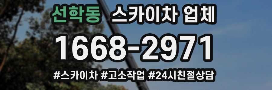 선학동 스카이차 업체