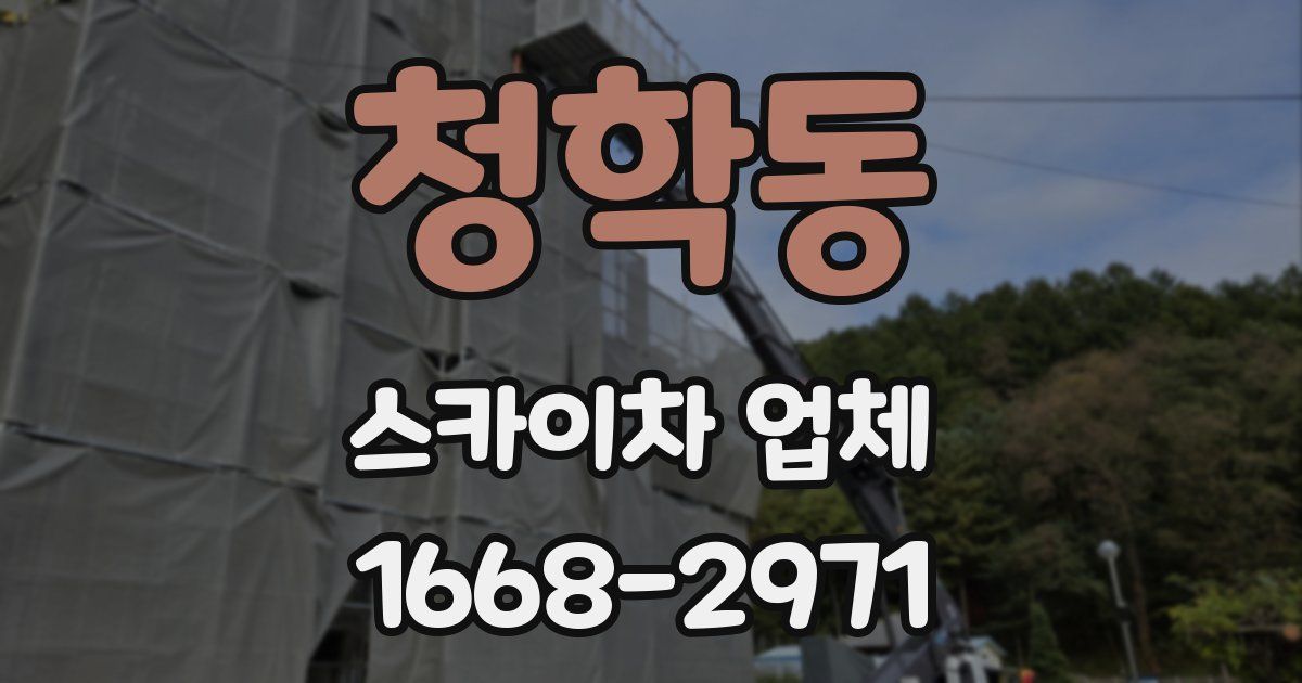 청학동 스카이차 업체