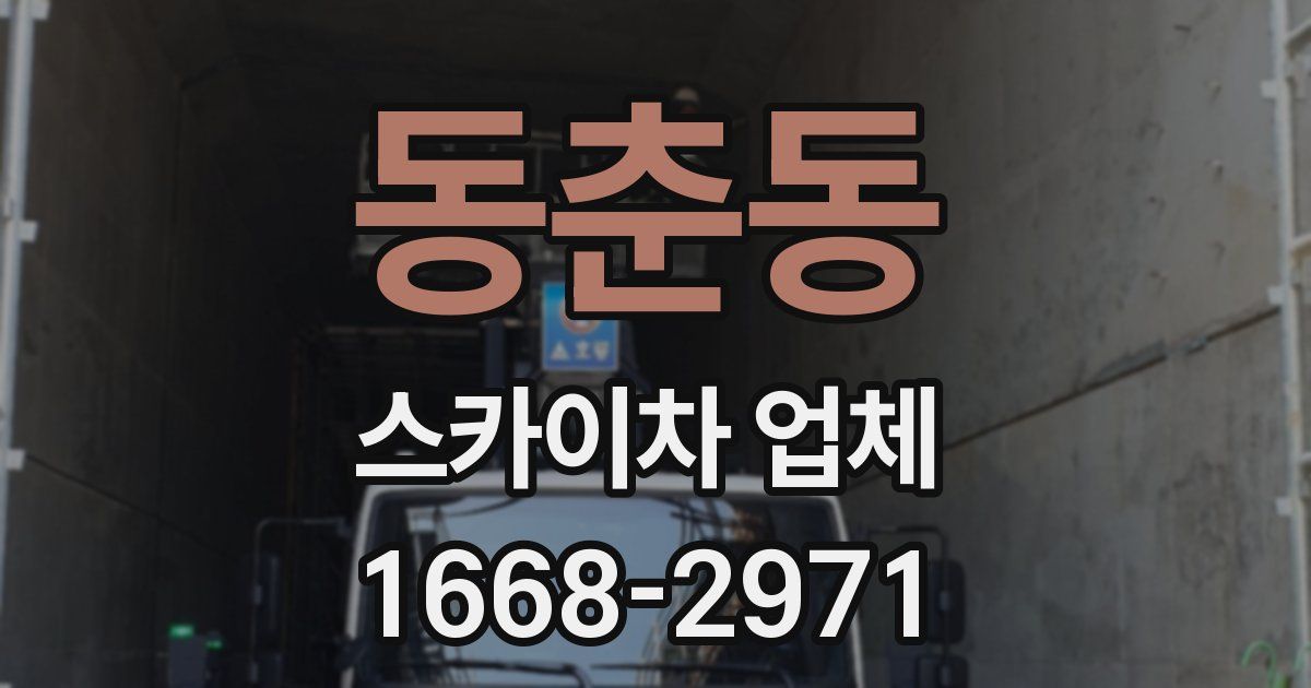 동춘동 스카이차 업체
