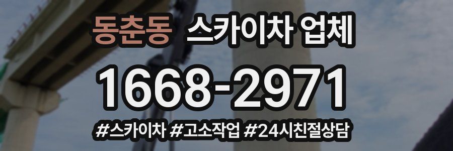 동춘동 스카이차 업체