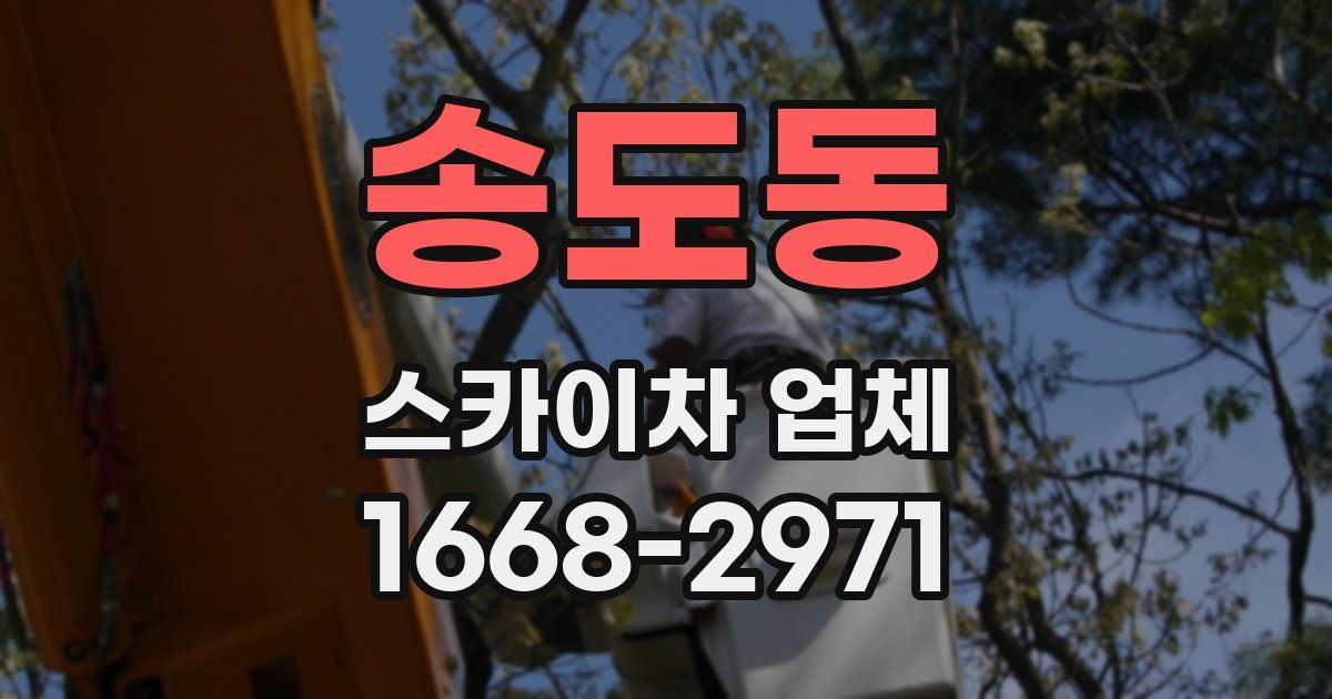 송도동 스카이차 업체