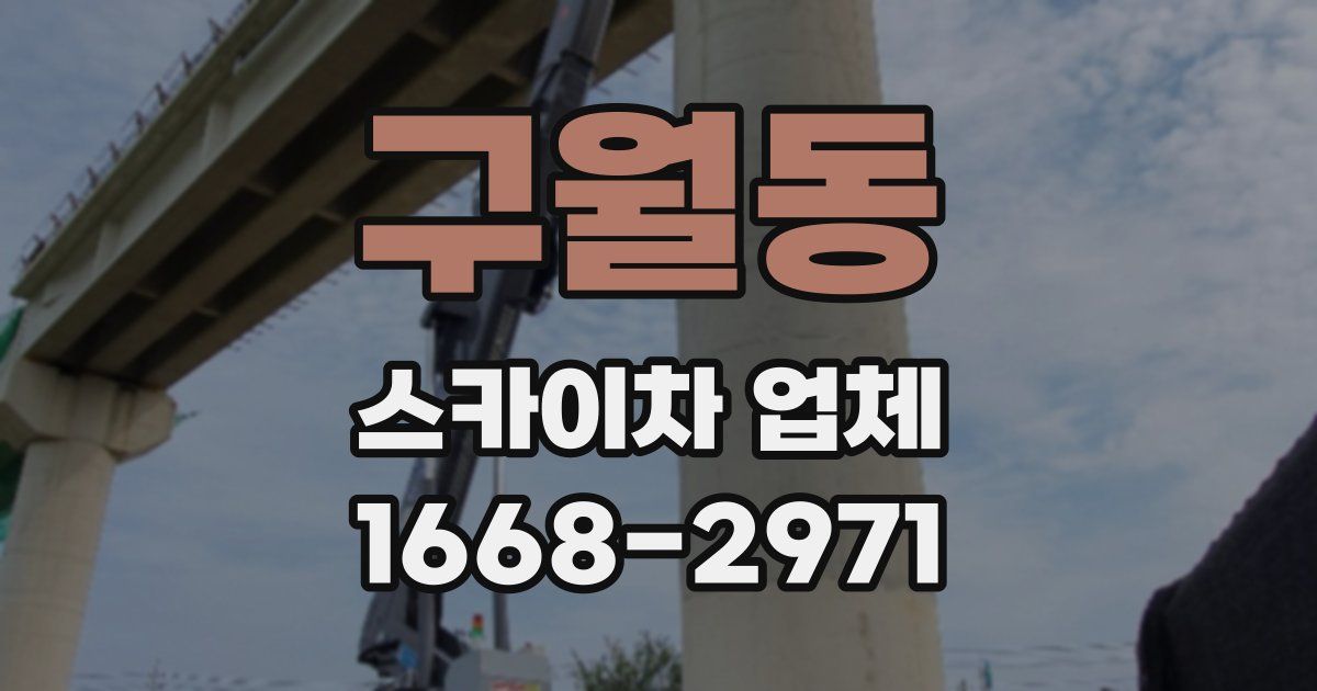 구월동 스카이차 업체