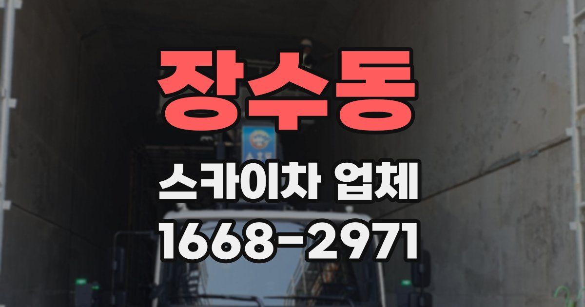장수동 스카이차 업체