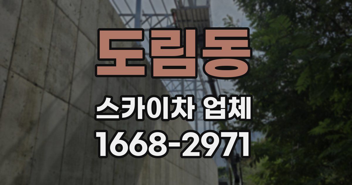 도림동 스카이차 업체